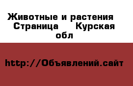  Животные и растения - Страница 2 . Курская обл.